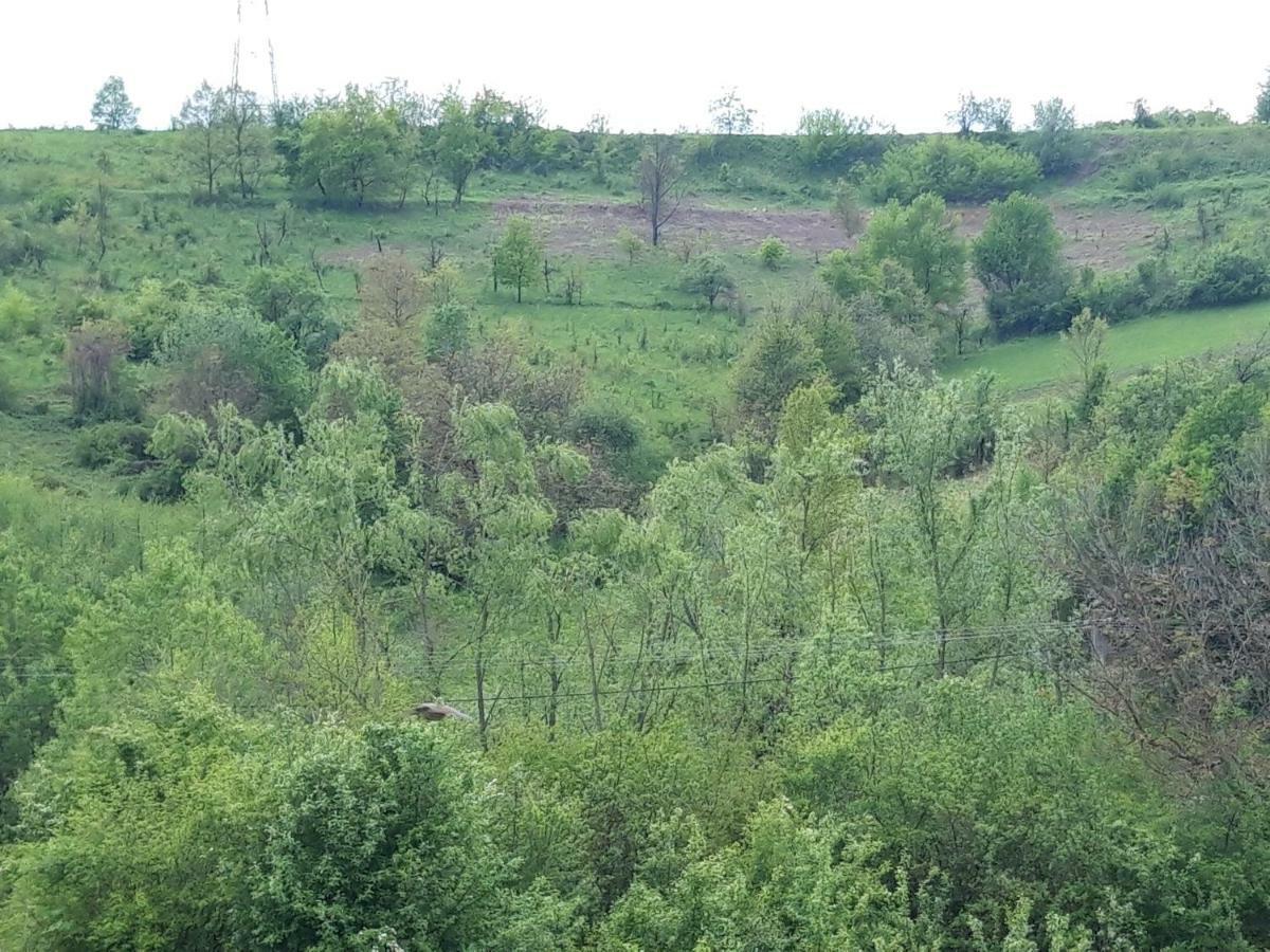 Colt De Rai - Camera De Inchiriat ريشيتسا المظهر الخارجي الصورة